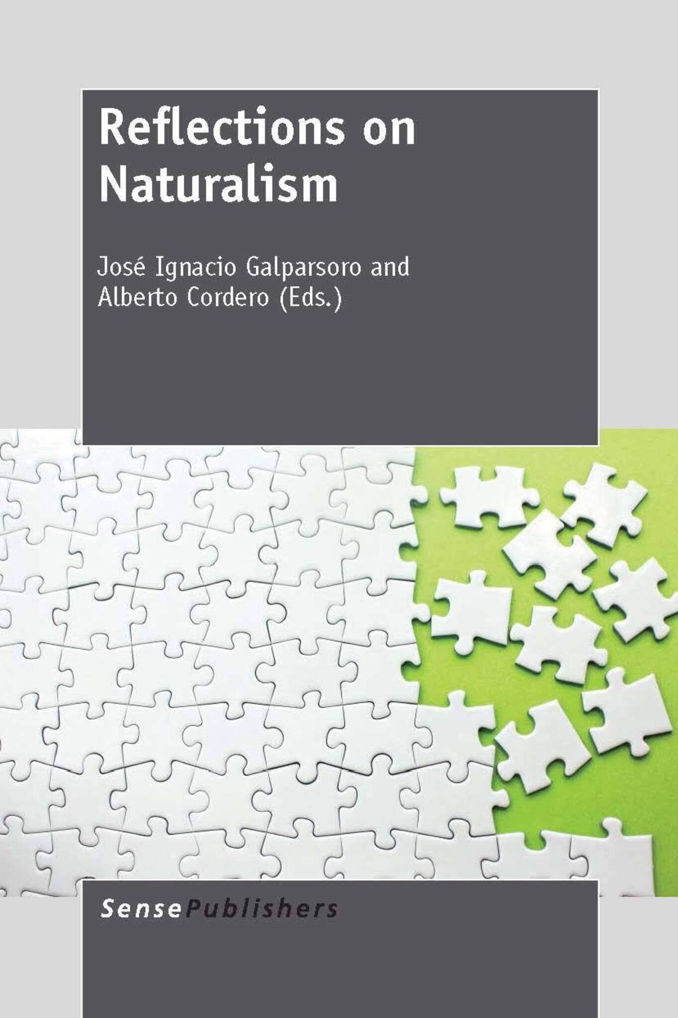 Cover image for Reflections on Naturalism ISBN 9789462092945